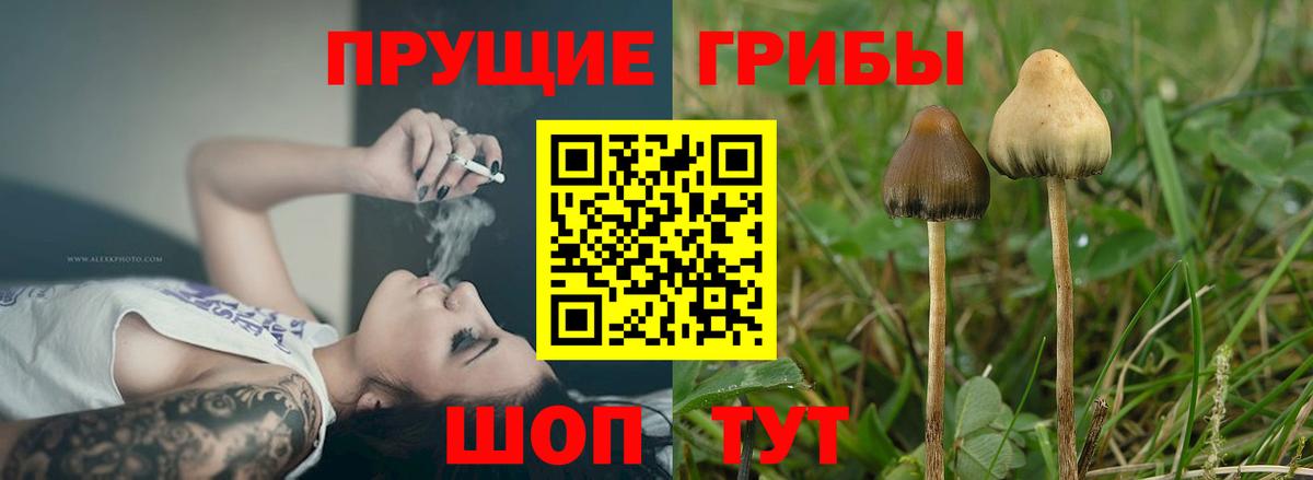 Псилоцибиновые грибы Psilocybe  закладки  Галлюциногенные грибы мухоморы  Нефтекамск  Вход с VPN 